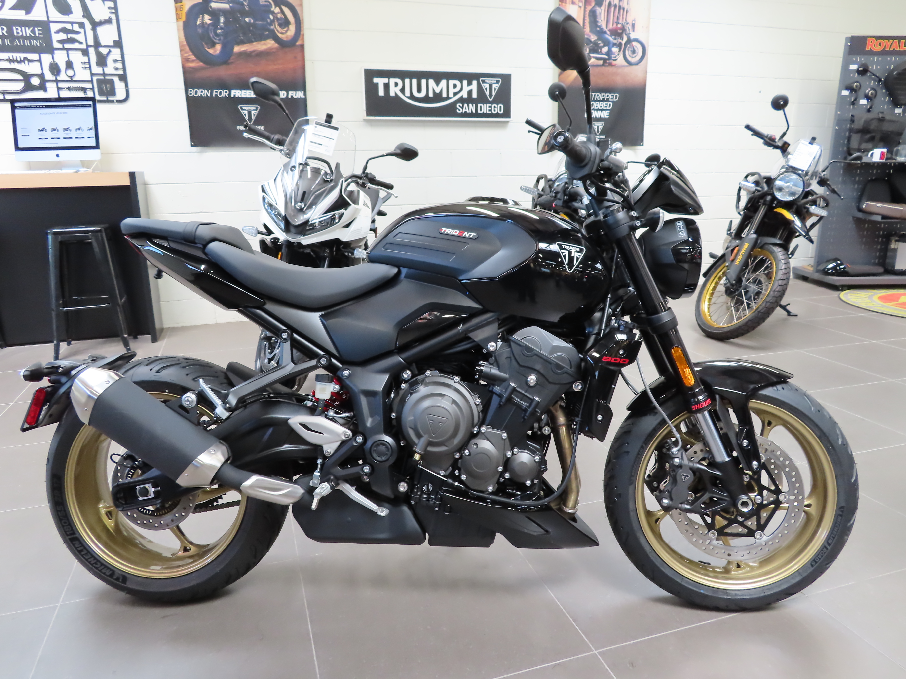 2026 Triumph TRIDENT 800 800 in San Diego, CA