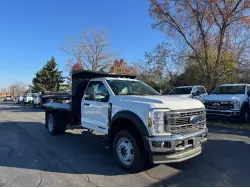 2025 FORD F550
