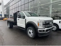 2025 FORD F450