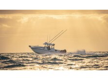 Yellowfin 36 Offshore Review image