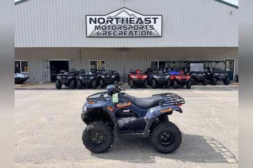 2026 Kawasaki Brute Force® 300 in lebanon ME