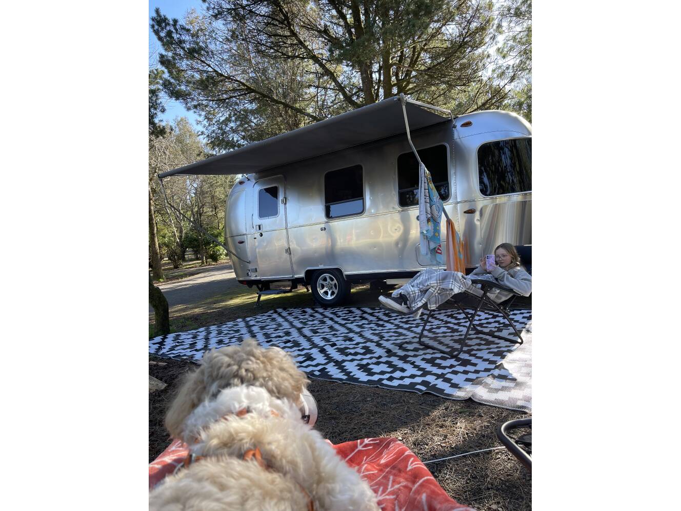 A photo of this 2020 Airstream BAMBI 22FB