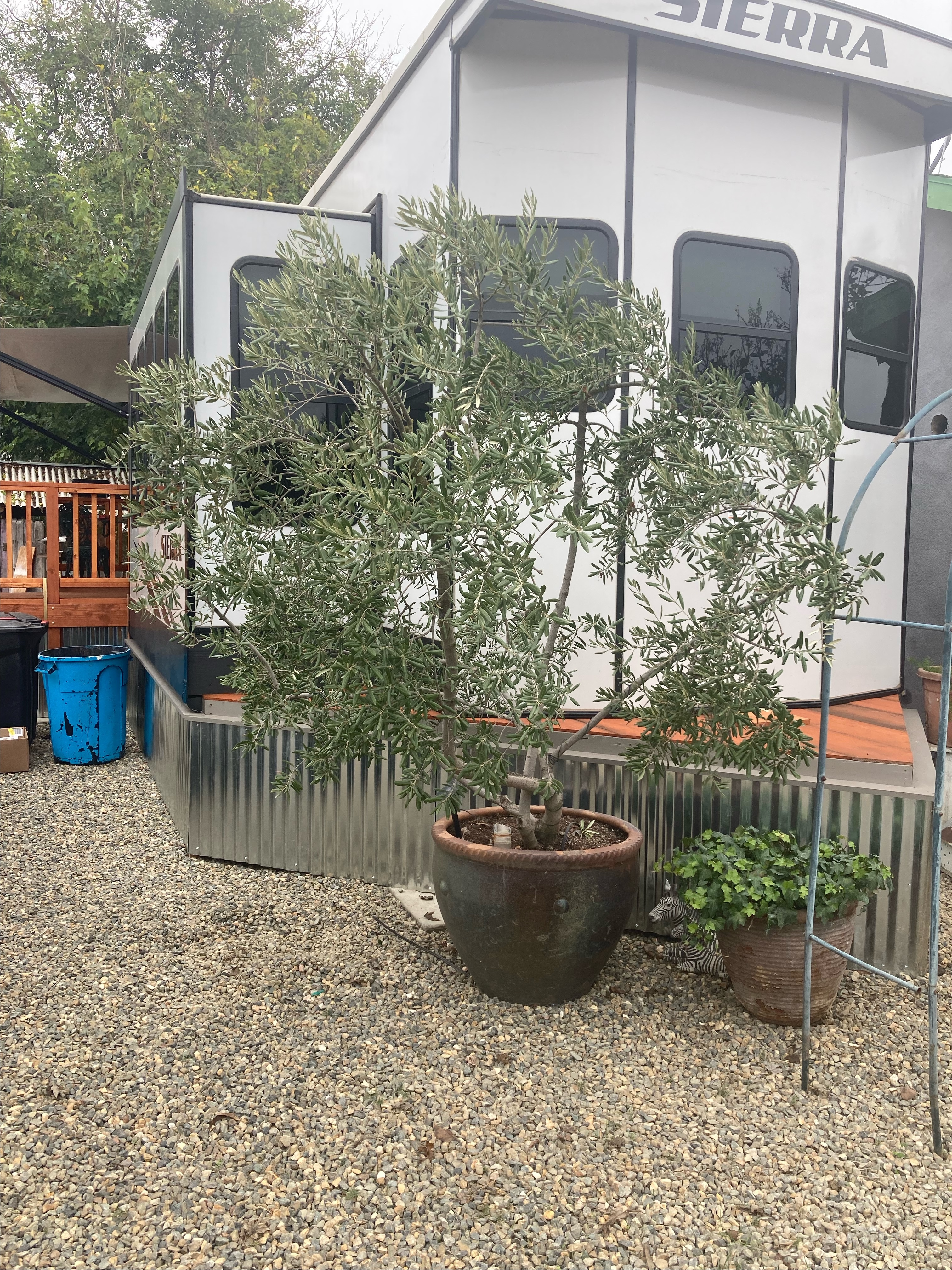 2021 Forest River SIERRA DESTINATION 401FLX in oakdale CA