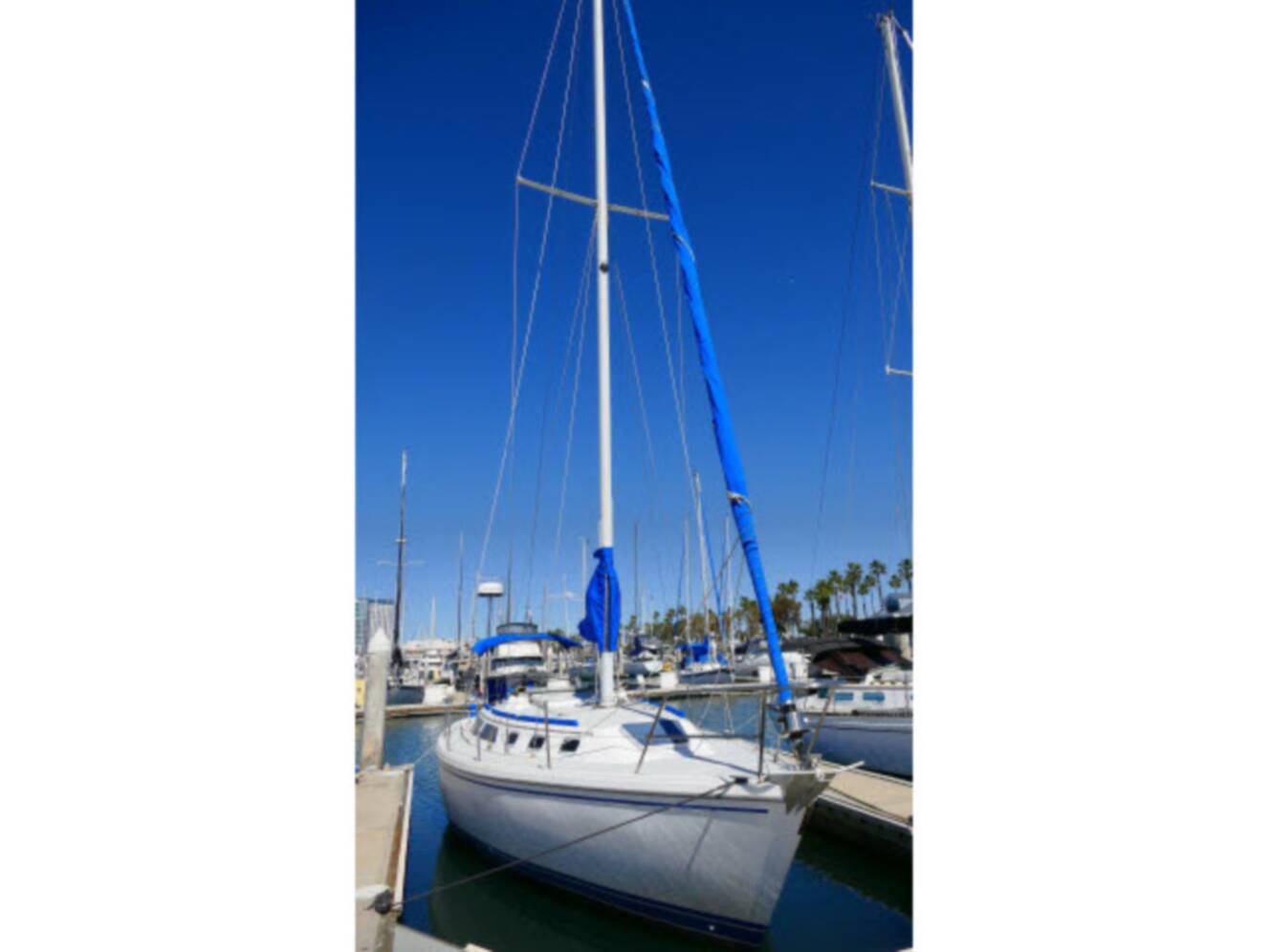 A photo of this 1989 Catalina 34 Tall Rig