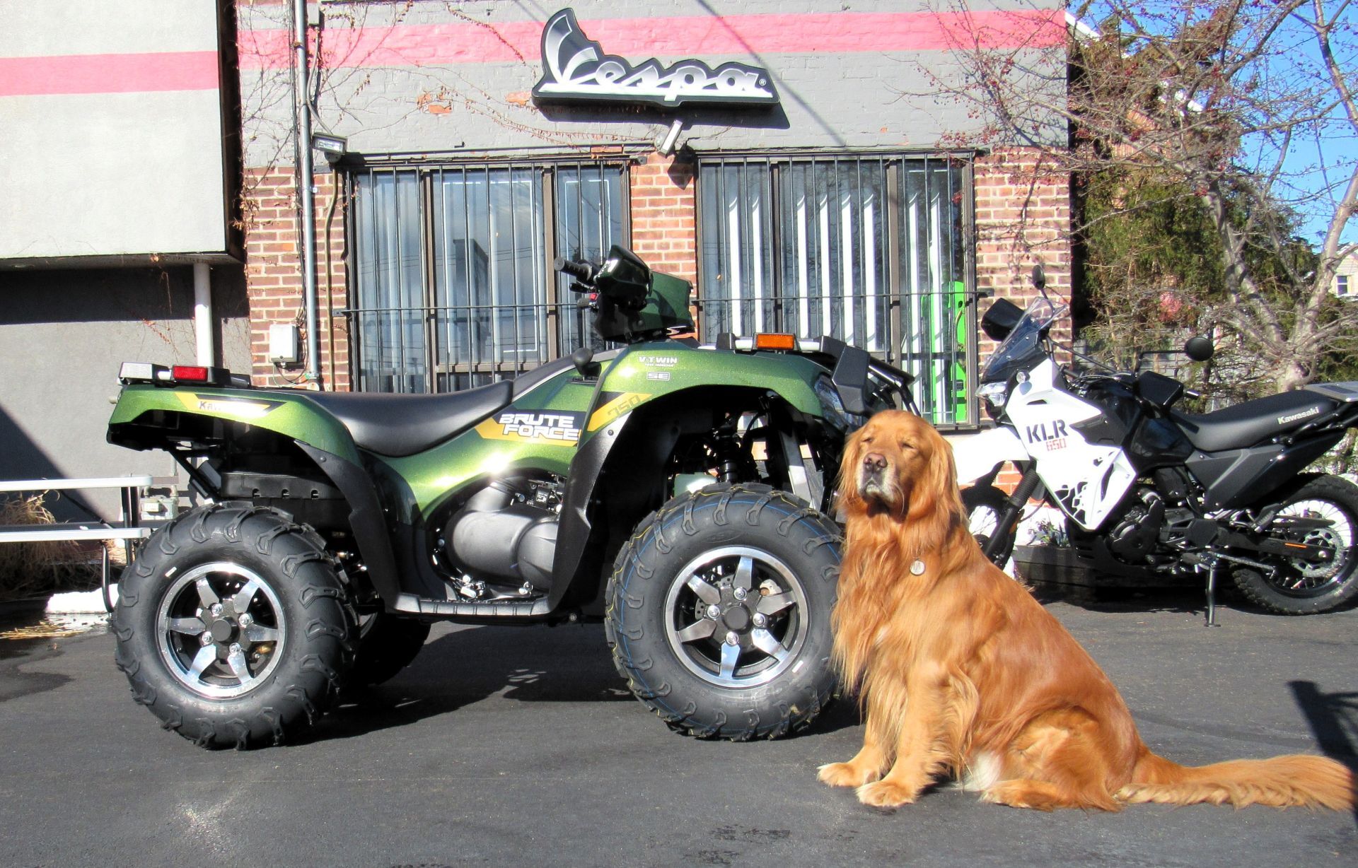 2026 Kawasaki Brute Force® 750 SE EPS in new haven CT