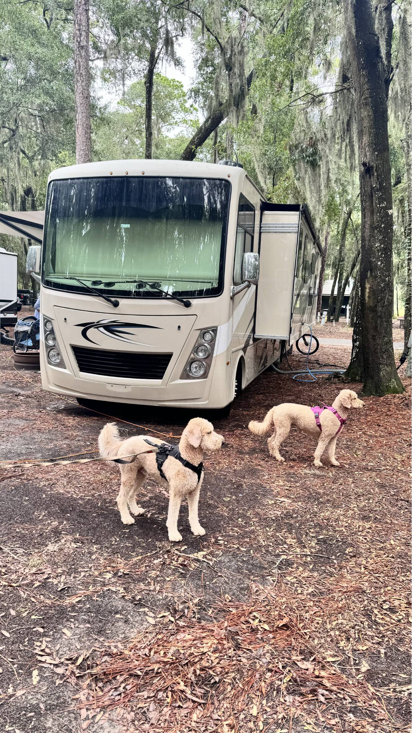 A photo of this 2022 Thor Motor Coach FREEDOM TRAVELER A32