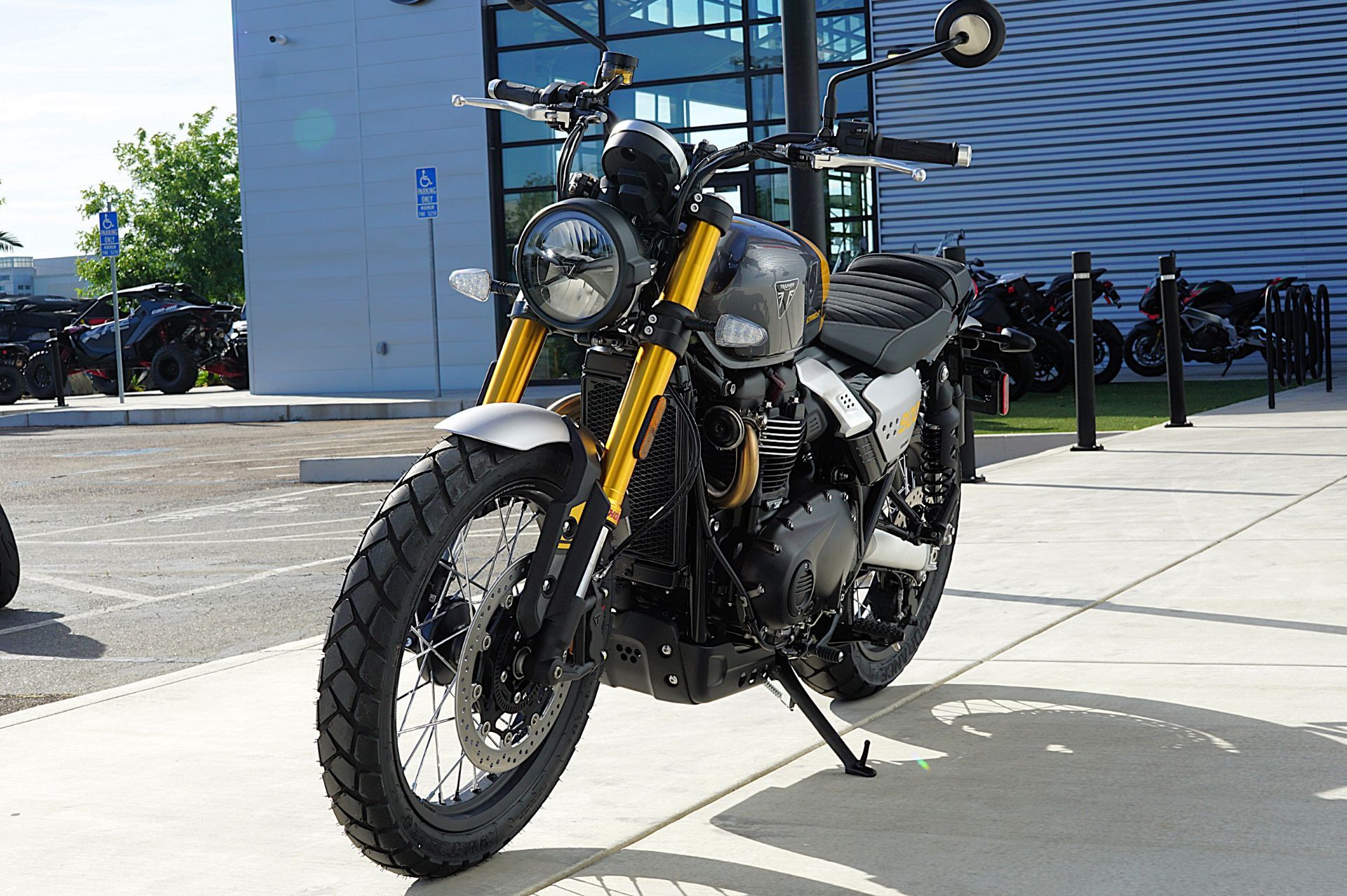 2026 Triumph Scrambler 900 in Elk Grove, CA