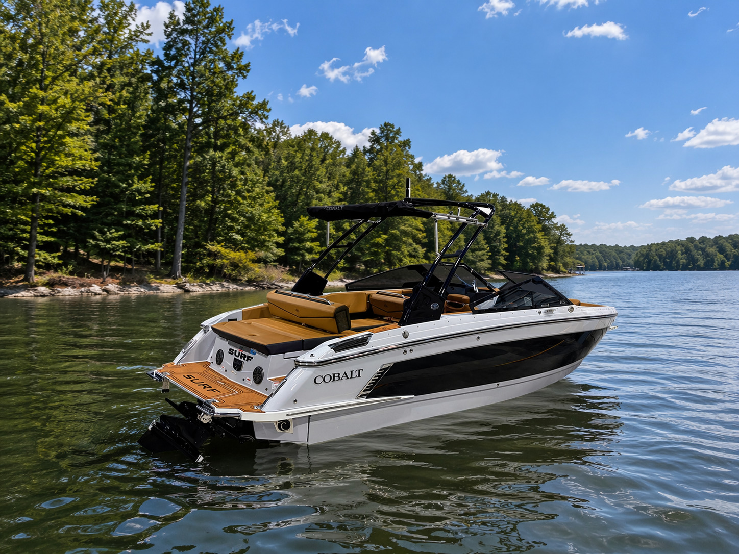 2026 Cobalt R4 SURF in moneta VA