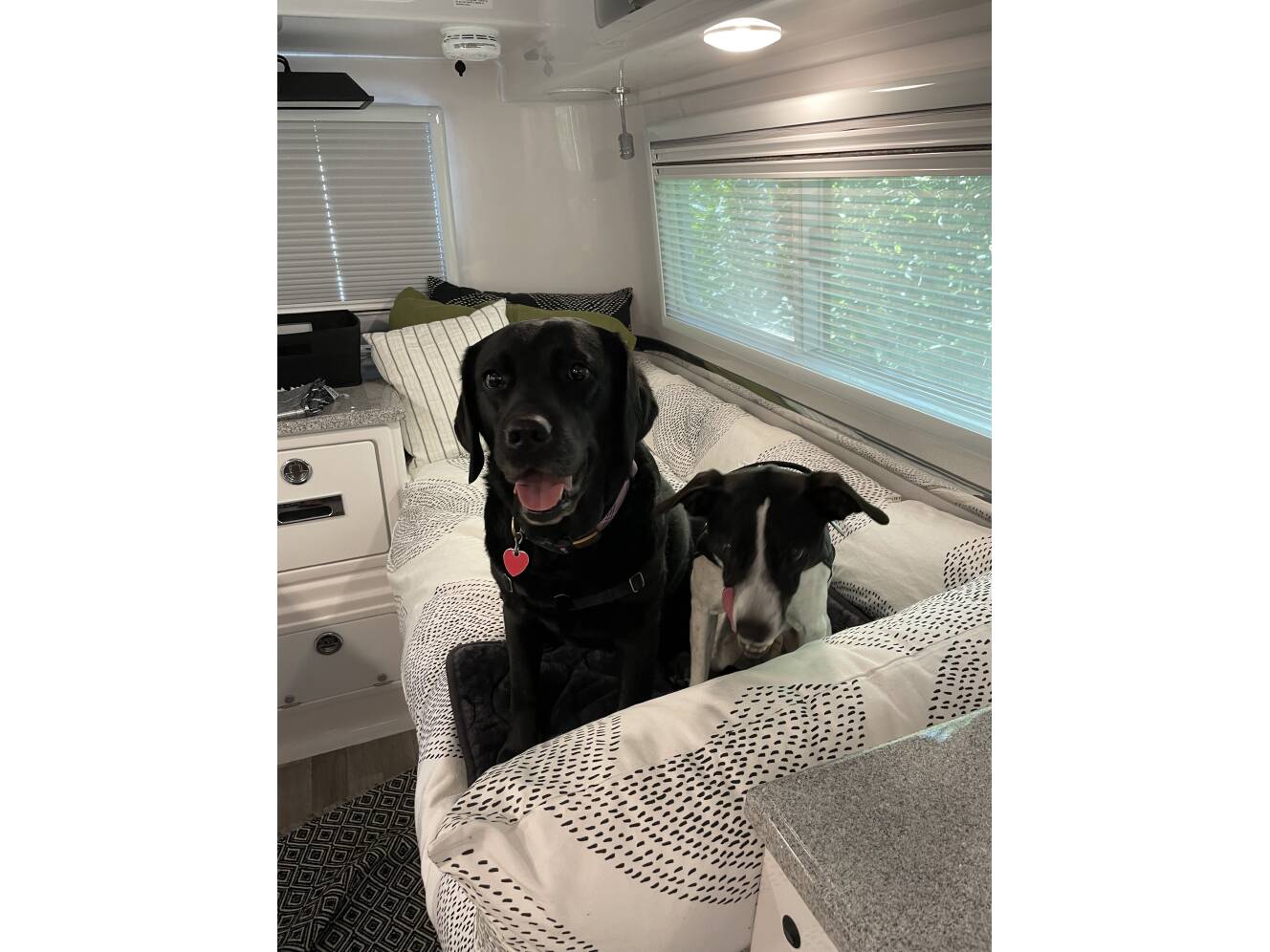 A photo of this 2023 Oliver LEGACY ELITE II TWIN BED