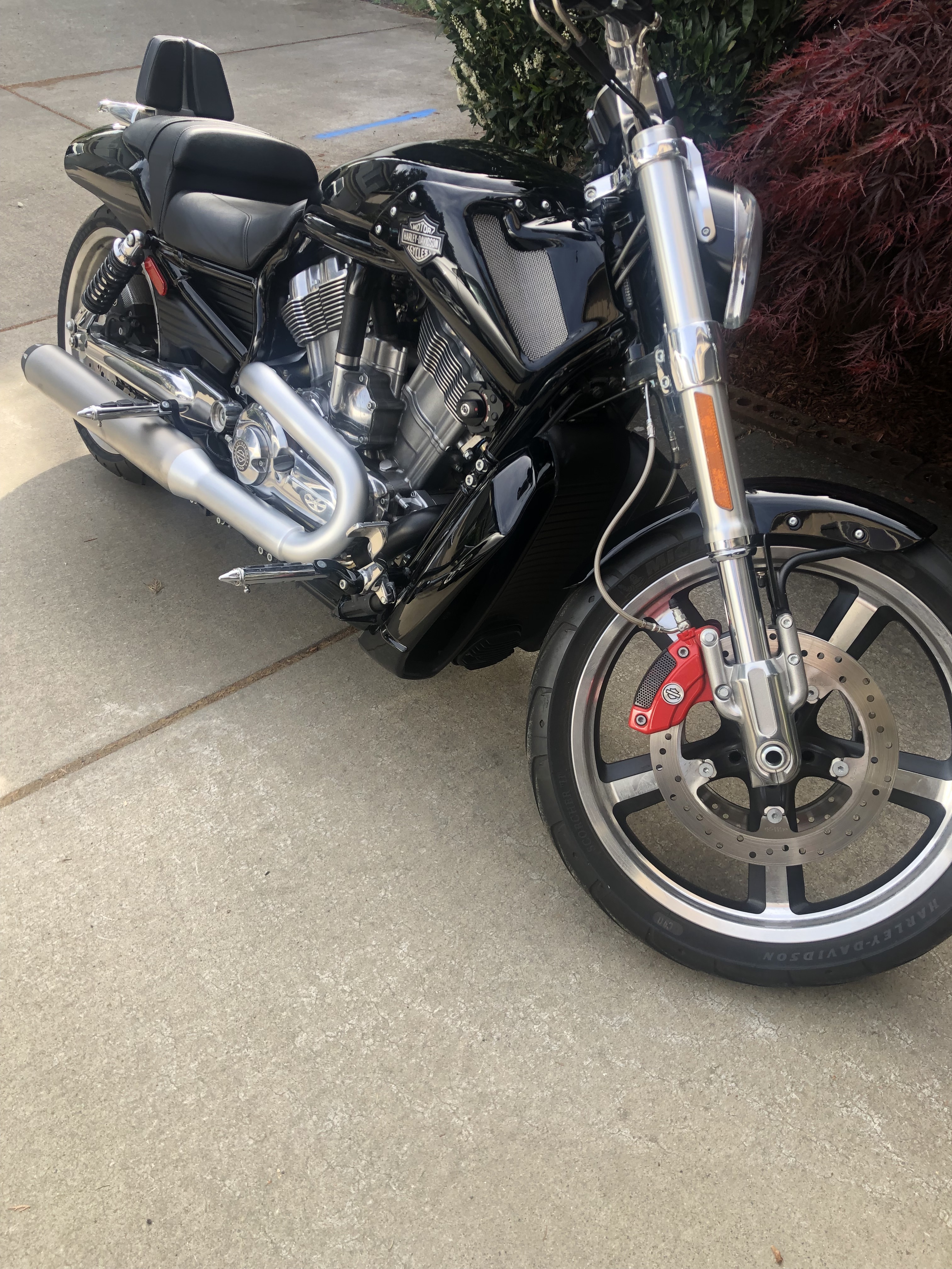 2016 Harley-Davidson V-ROD MUSCLE MUSCLE in Vancouver, WA