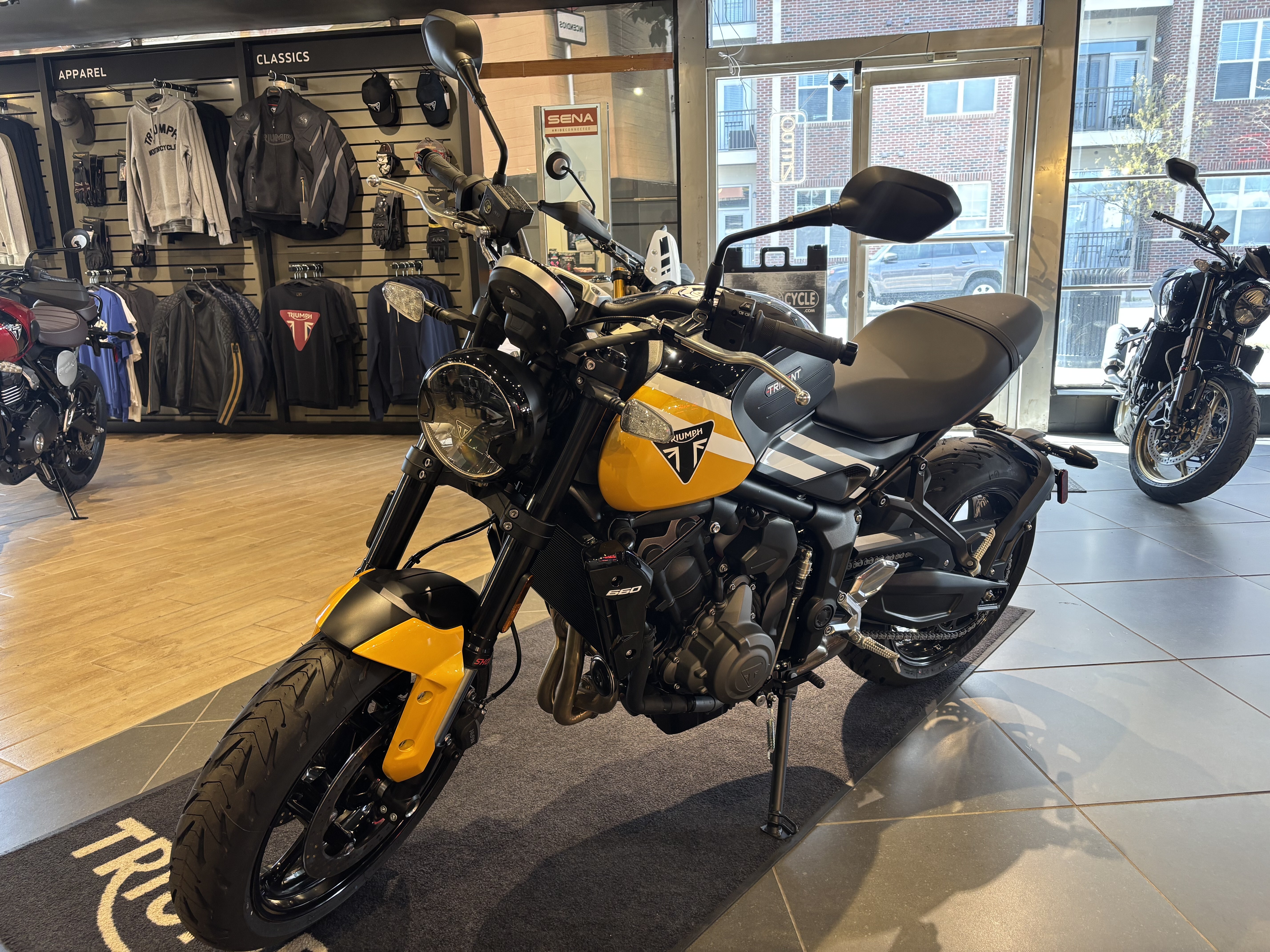 2025 Triumph Trident 660 660 in Greensboro, NC