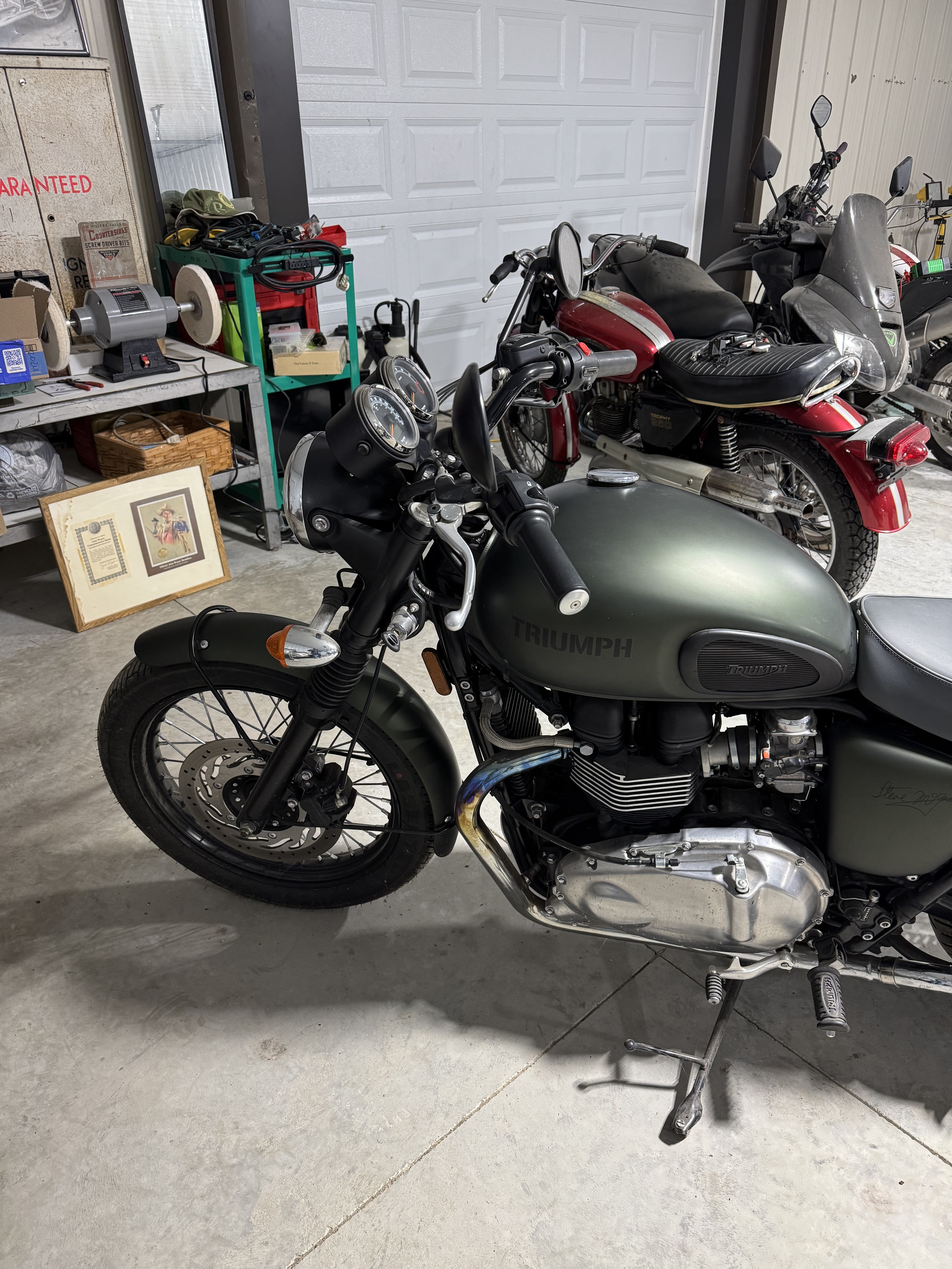 2012 Triumph BONNEVILLE STEVE MCQUEEN SE STEVE MCQUEEN SE in Rochester, MN