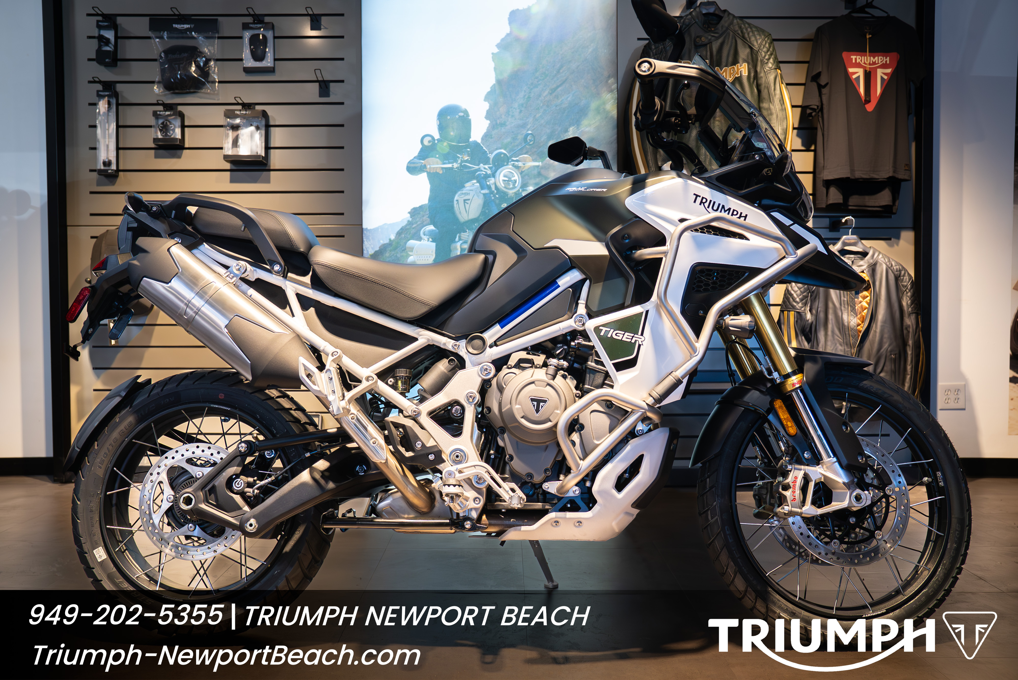 2024 Triumph TIGER 1200 RALLY EXPLORER RALLY EXPLORER in Costa Mesa, CA