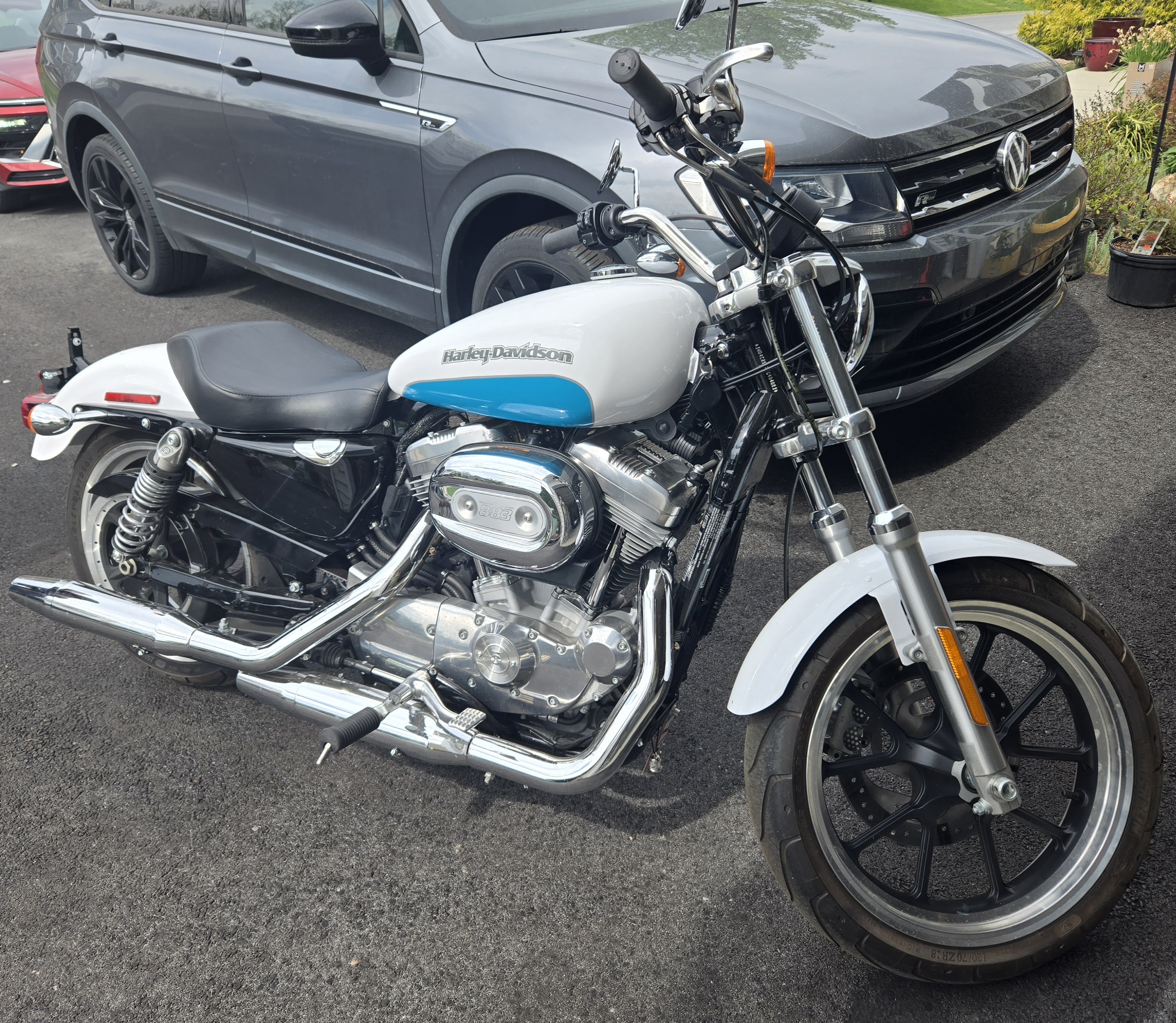 White Harley-Davidson Sportster 883 Motorcycles For Sale - Cycle