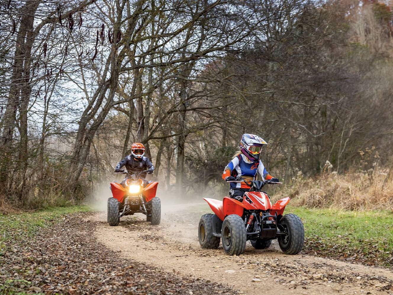 A photo of this 2025 Honda TRX90X