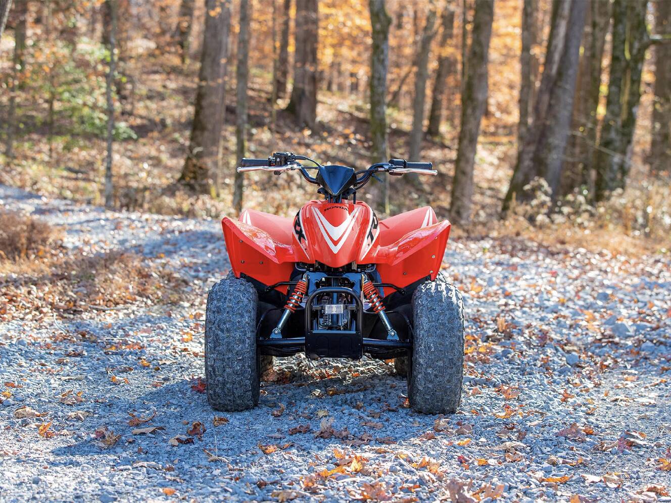 A photo of this 2025 Honda TRX90X