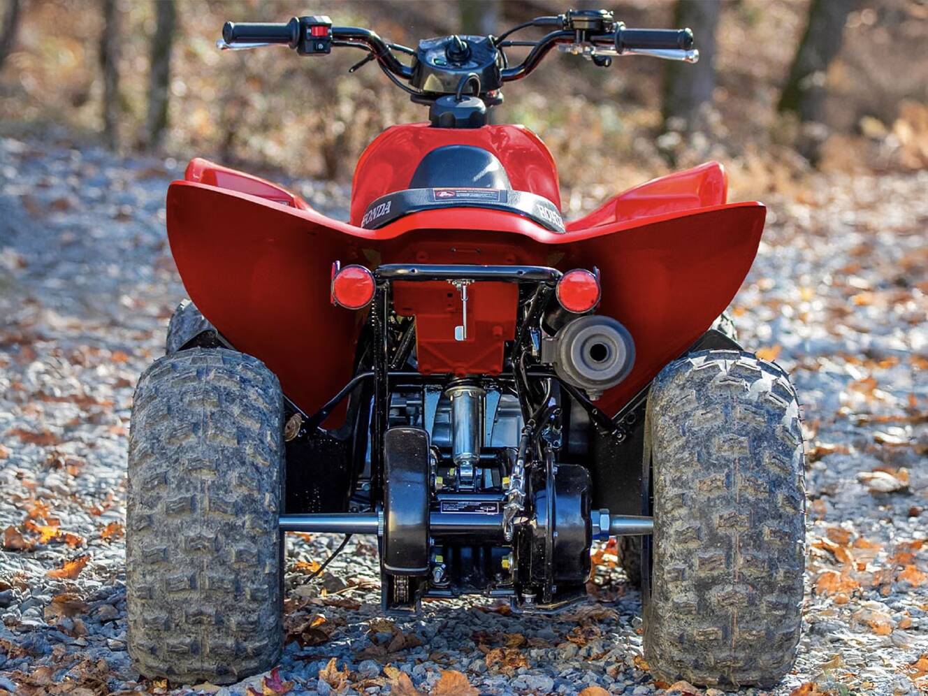 A photo of this 2025 Honda TRX90X