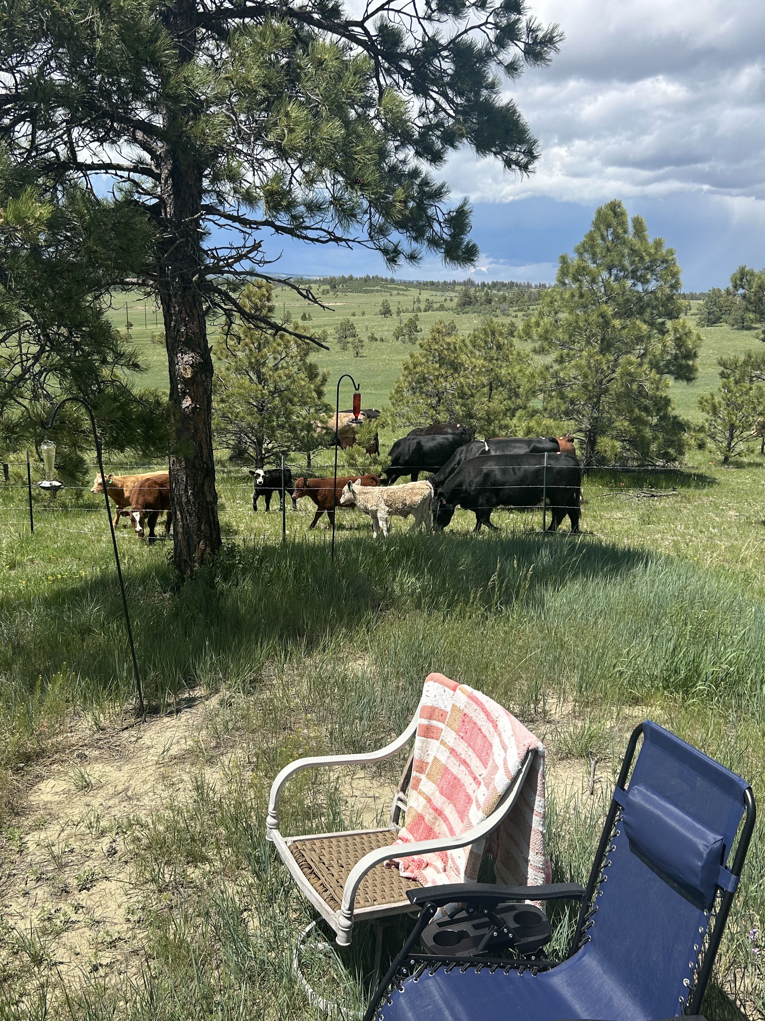 View more photos of this listing