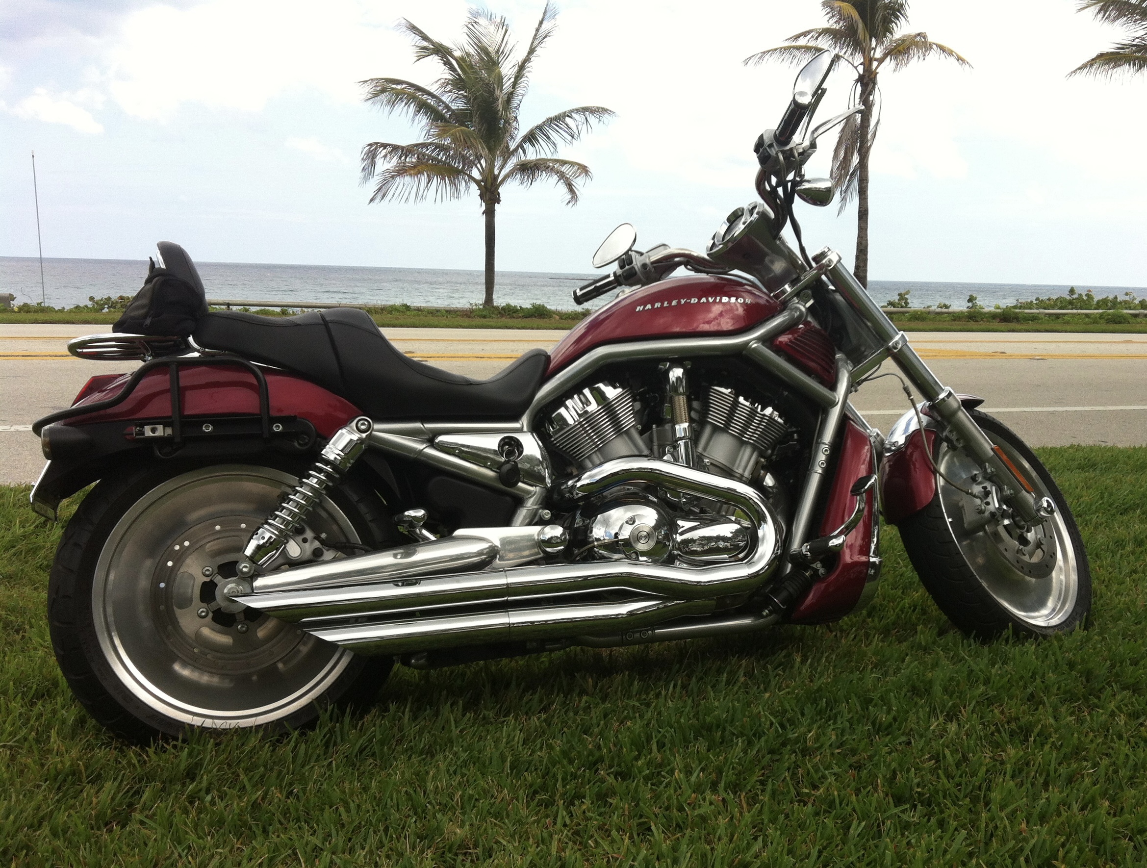 2004 Harley-Davidson VRSC™ V-ROD MUSCLE® V-ROD MUSCLE® in Boca Raton, FL