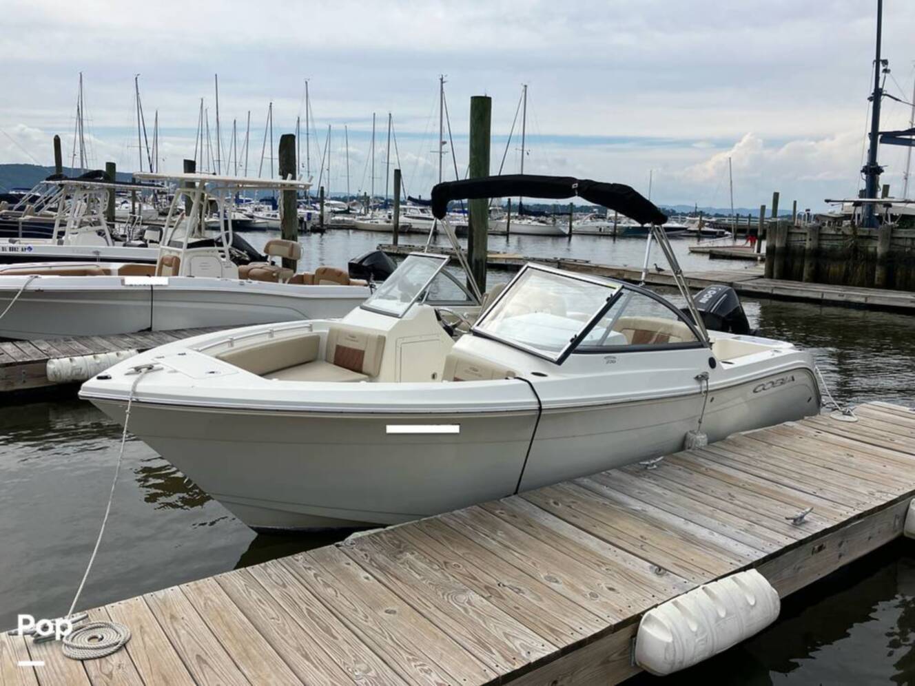A photo of this 2024 Cobia 220 DC