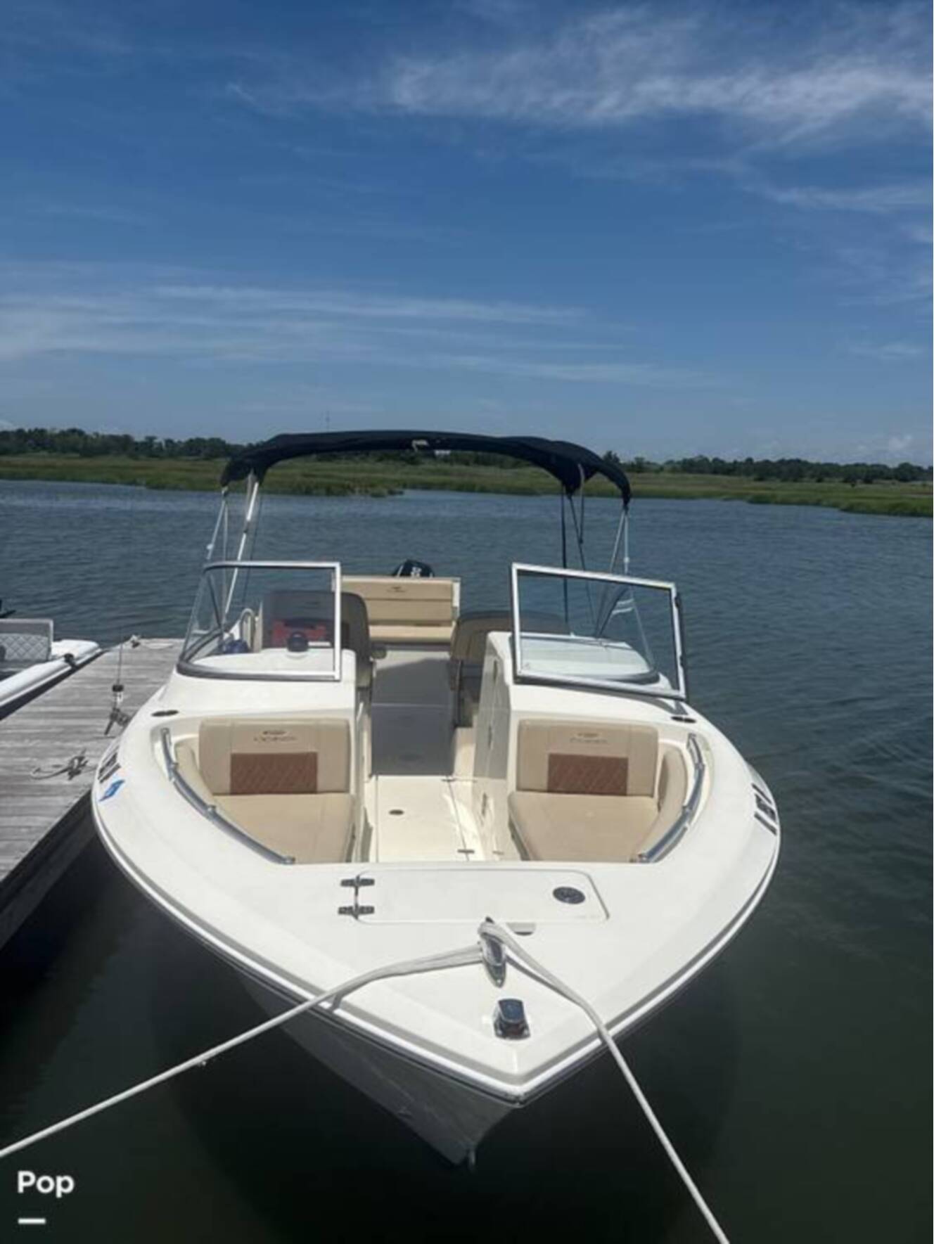 A photo of this 2024 Cobia 220 DC