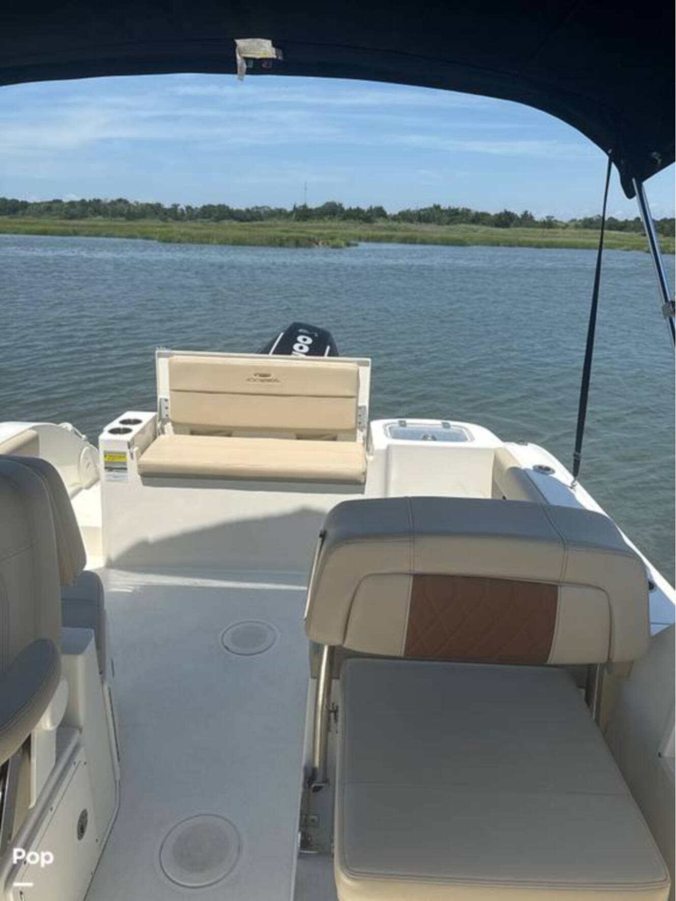 A photo of this 2024 Cobia 220 DC