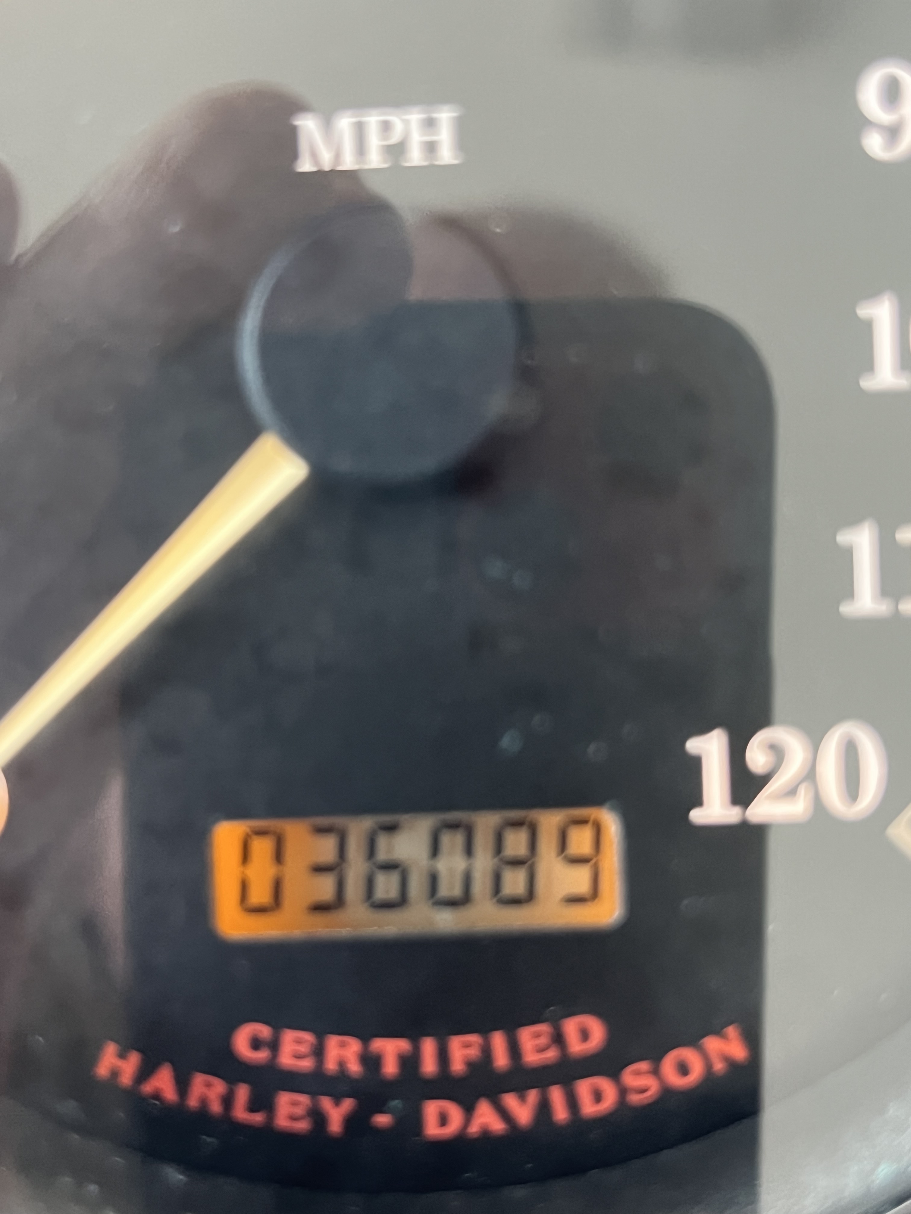 2001 Harley-Davidson ROAD KING FLHR in palm beach gardens FL