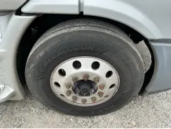 2019 FREIGHTLINER CASCADIA 113