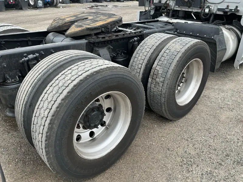 2019 FREIGHTLINER CASCADIA 113