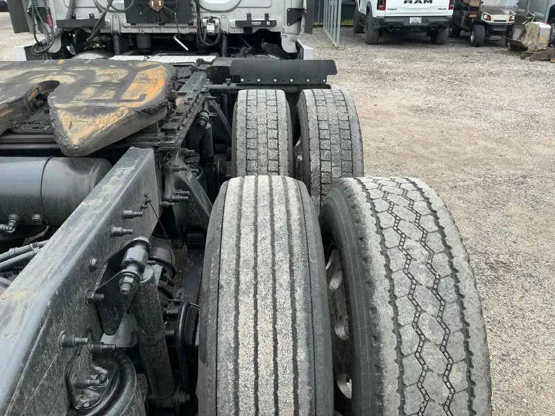 2019 FREIGHTLINER CASCADIA 113