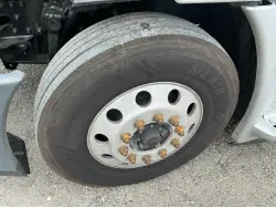 2019 FREIGHTLINER CASCADIA 113
