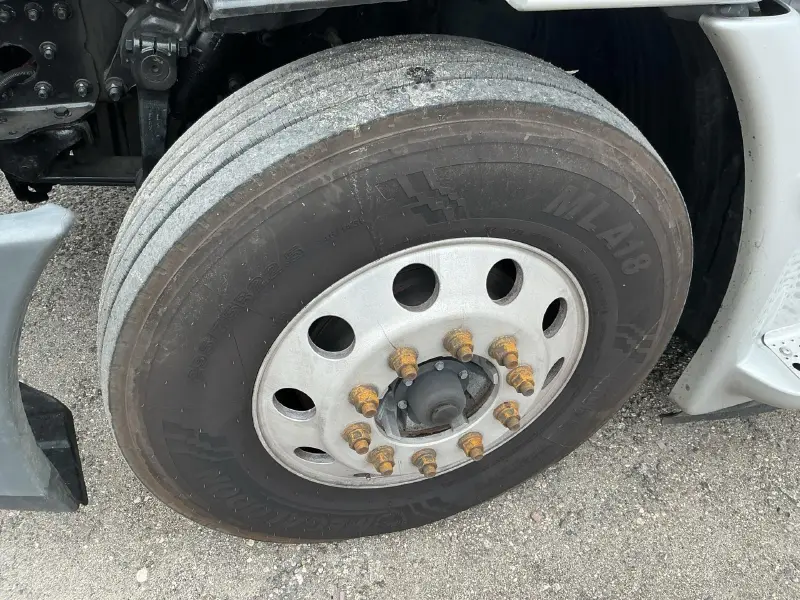 2019 FREIGHTLINER CASCADIA 113