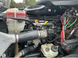 2019 FREIGHTLINER CASCADIA 113