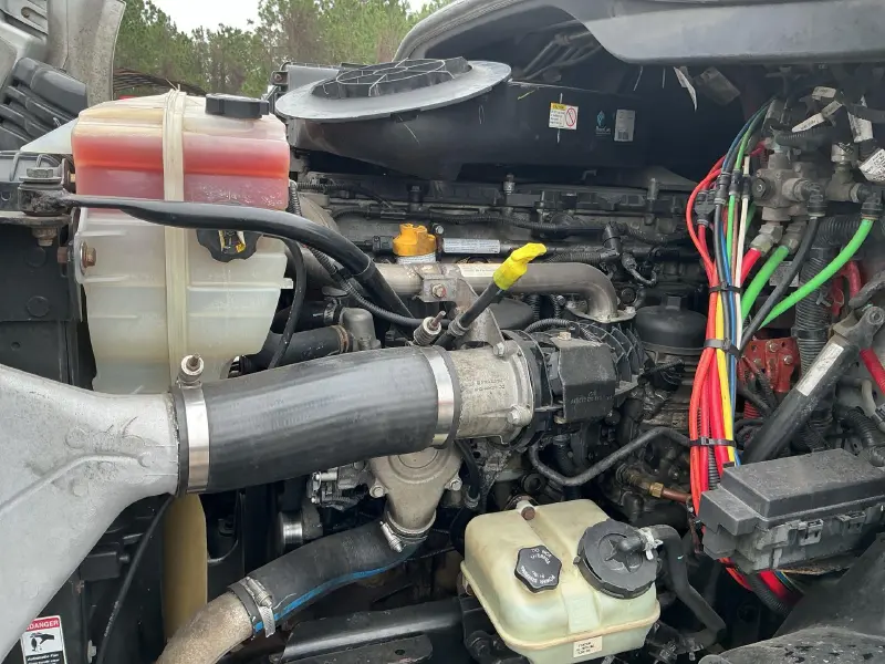 2019 FREIGHTLINER CASCADIA 113
