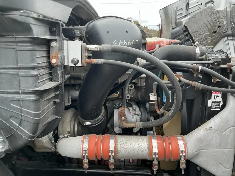 2019 FREIGHTLINER CASCADIA 113