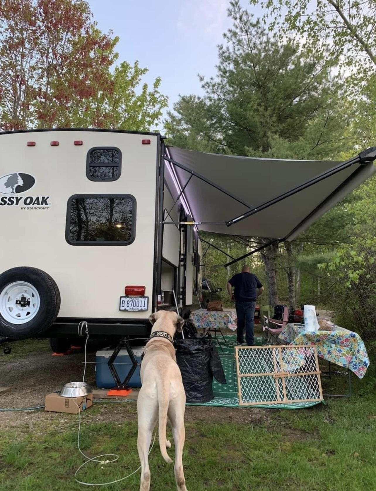 2019 Starcraft MOSSY OAK LITE 283BH RV