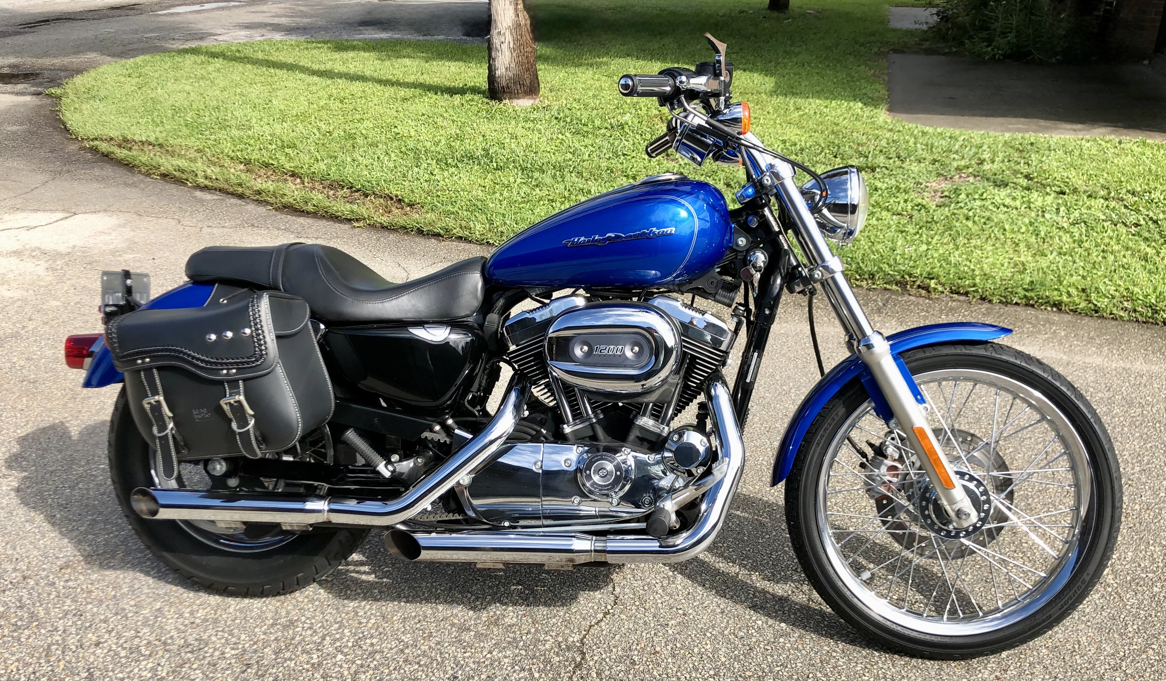 2007 Harley-Davidson SPORTSTER 1200 CUSTOM XL1200C CUSTOM XL1200C in Palm Bay, FL