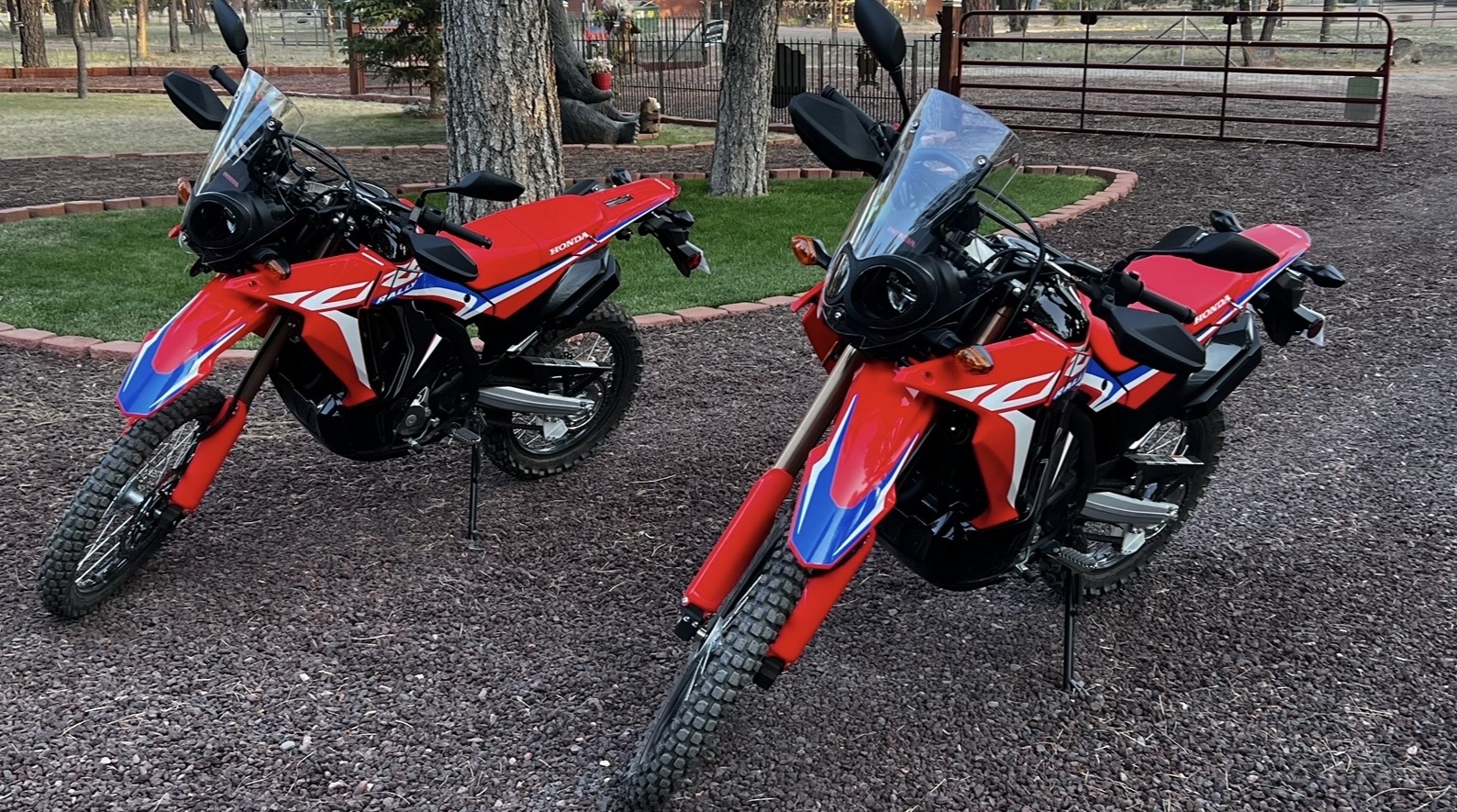 2024 Honda CRF 300L RALLY in overgaard AZ