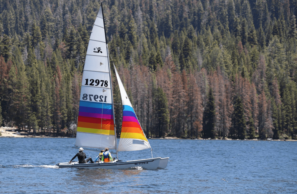 1985 Hobie Cat 18 in pleasanton CA