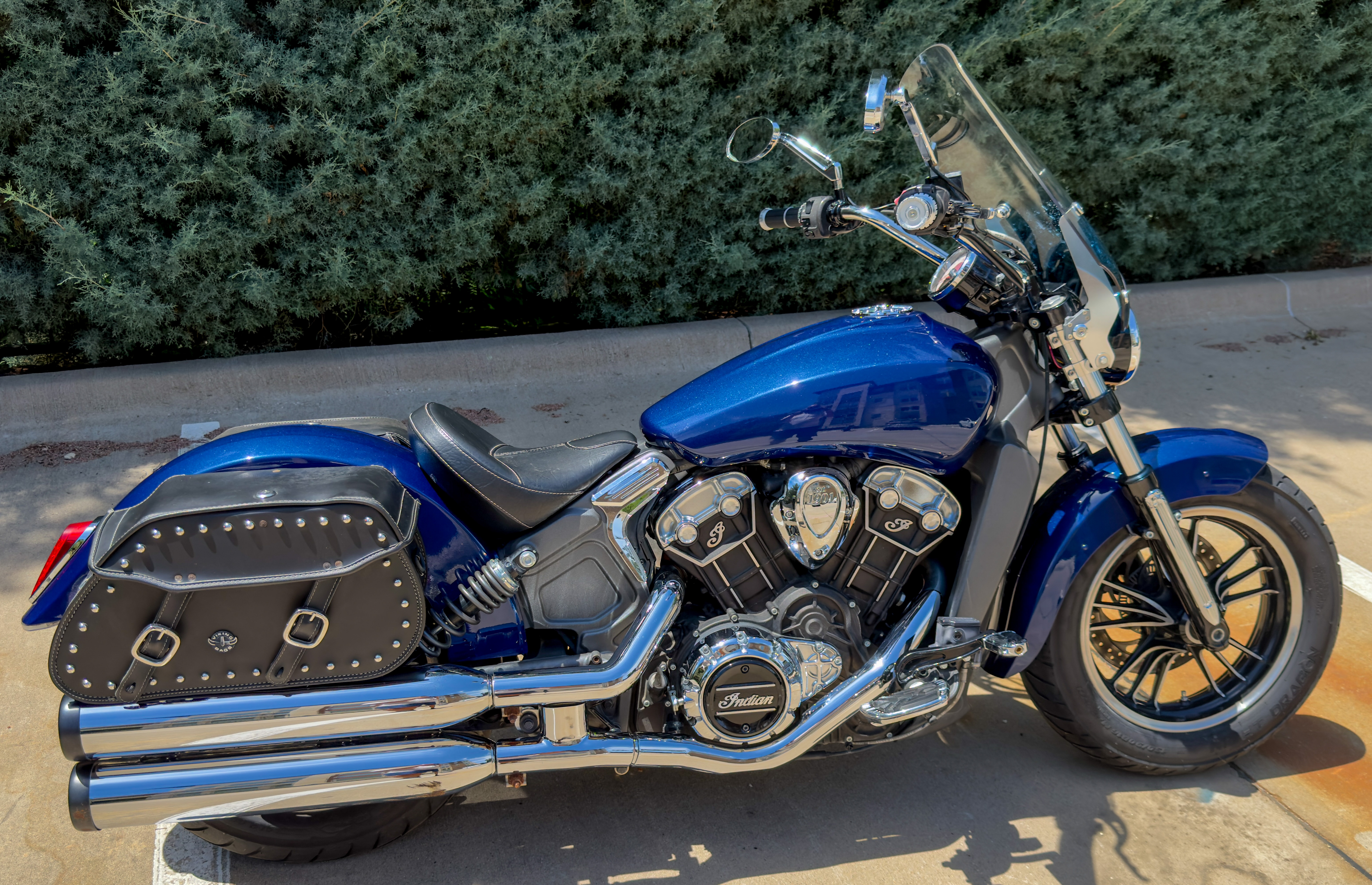 2019 Indian SCOUT ABS ABS in Frisco, TX