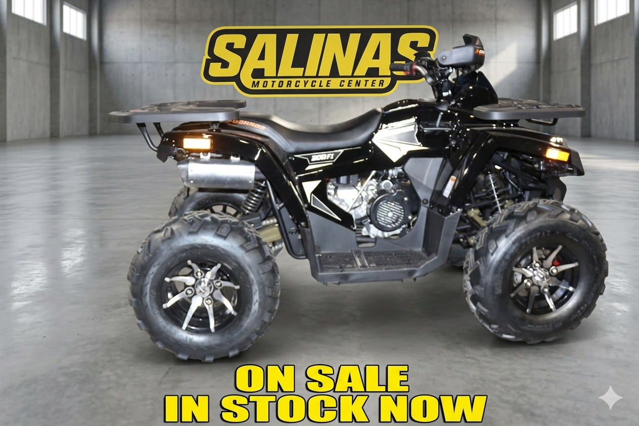 2026 Denago Powersports Mudhawk 200FI in salinas CA
