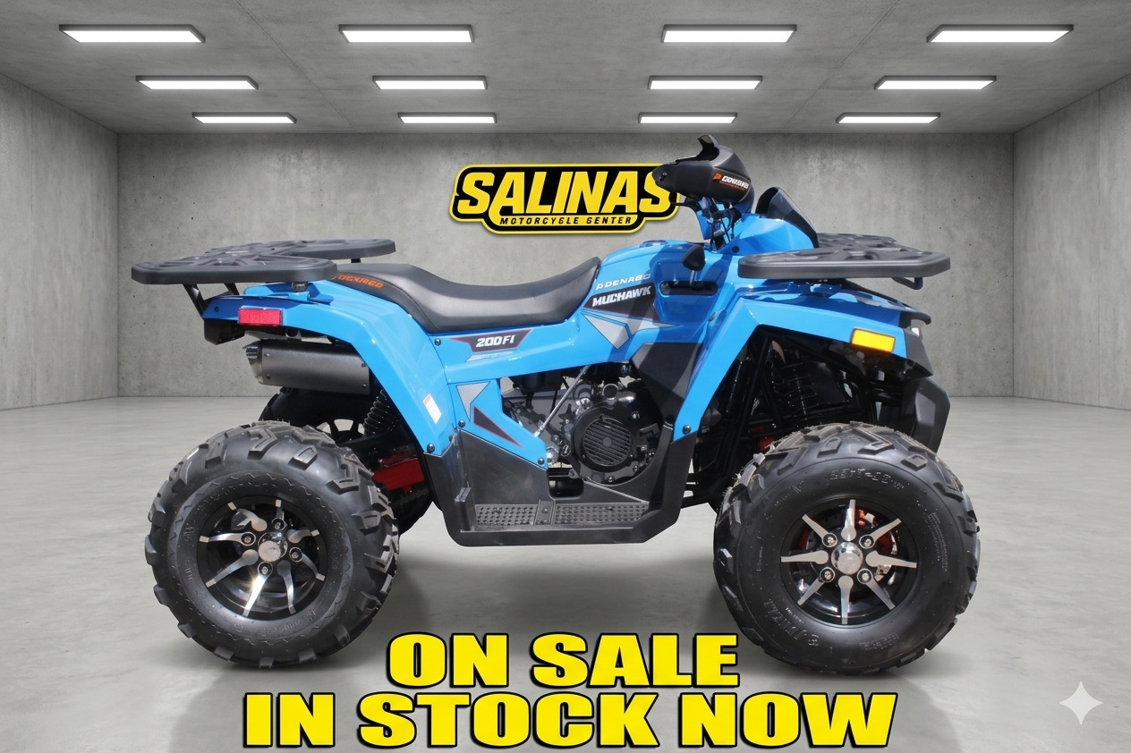 2026 Denago Powersports Mudhawk 200FI in salinas CA