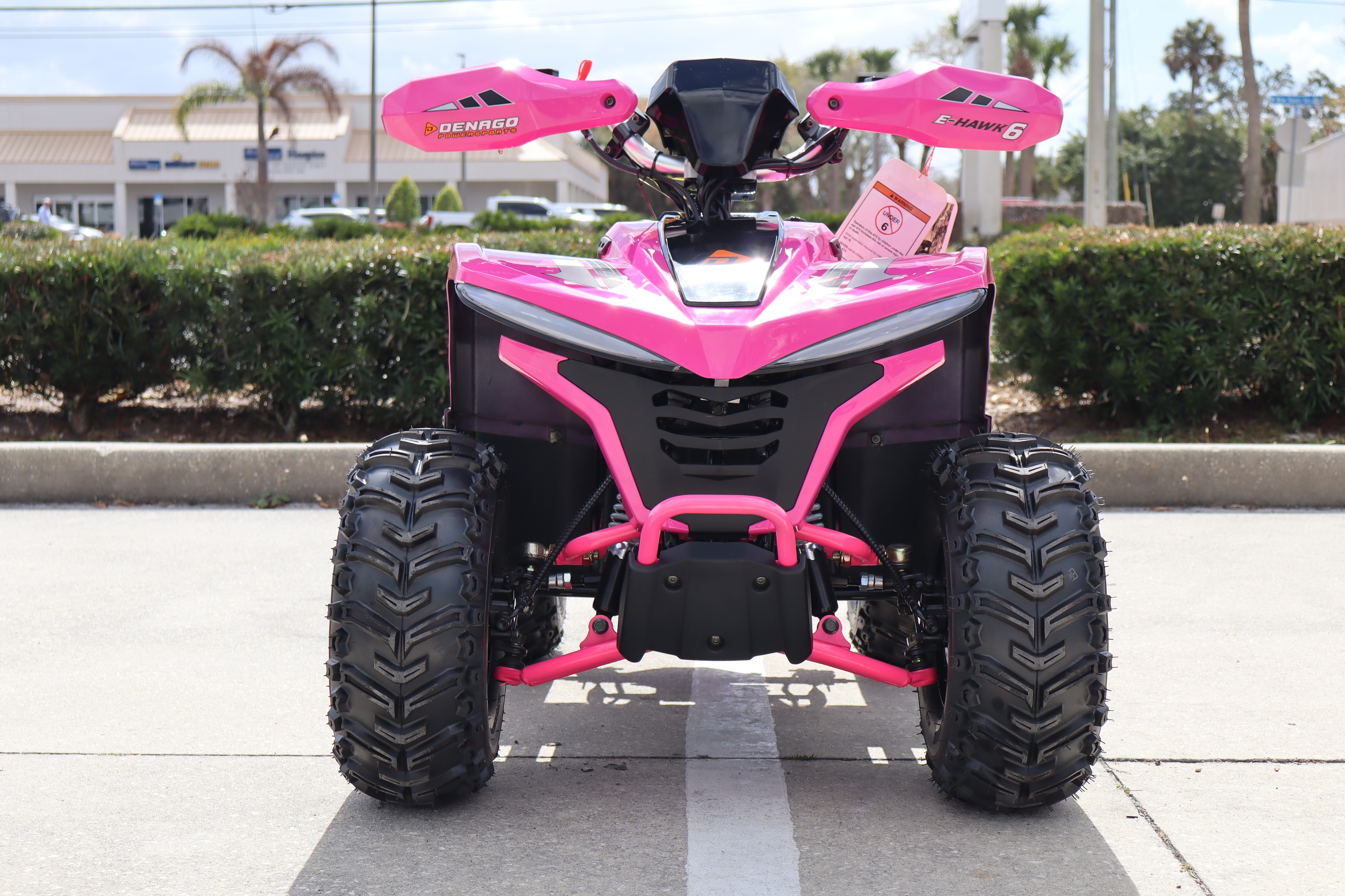 2026 Denago Powersports E-Hawk 6 in melbourne FL