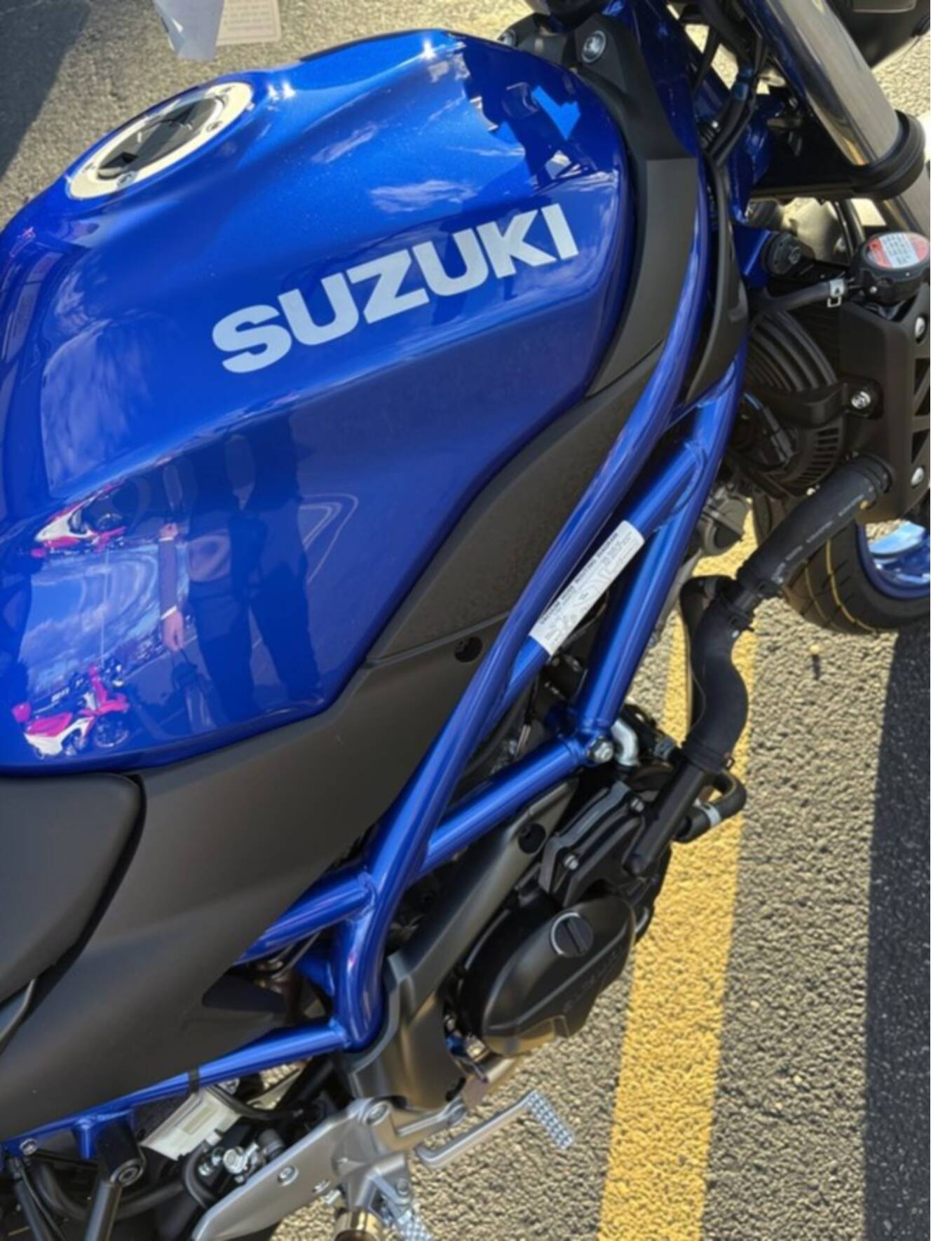 A photo of this 2026 Suzuki SV650 ABS
