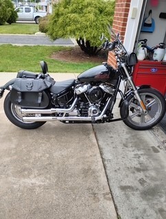 2024 Harley-Davidson SOFTAIL STANDARD STANDARD in Toms River, NJ