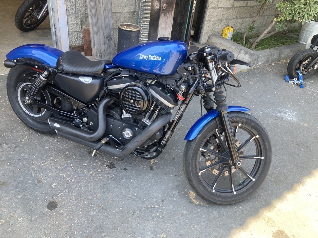 2021 Harley-Davidson SPORTSTER IRON 883 in Lemon Grove, CA