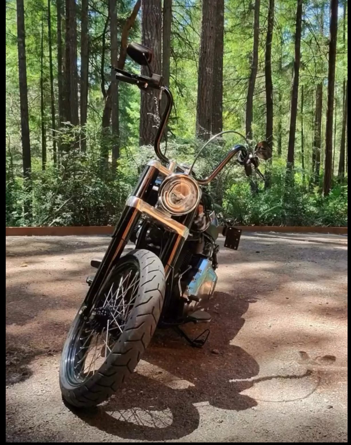 2020 Harley-Davidson SOFTAIL SLIM SLIM in Port Orchard, WA