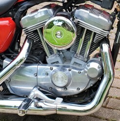 2006 Harley-Davidson SPORTSTER 883 CUSTOM CUSTOM in Pennsburg, PA