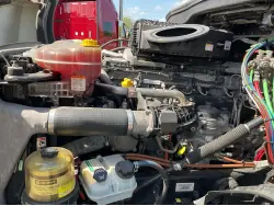 2019 FREIGHTLINER CASCADIA 126