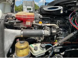 2019 FREIGHTLINER CASCADIA 126